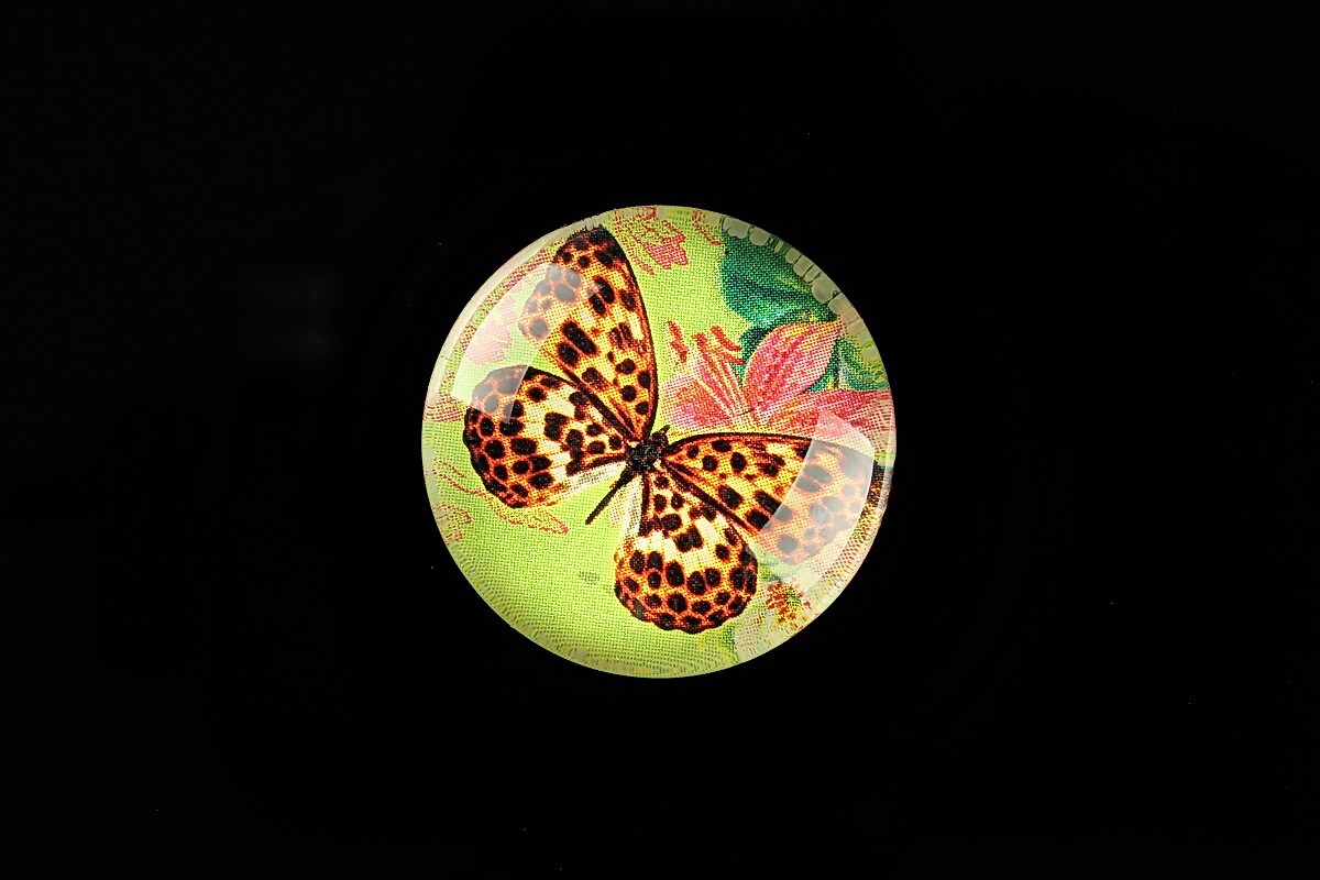 Cabochon sticla 25mm "Amazing Butterfly" cod 779