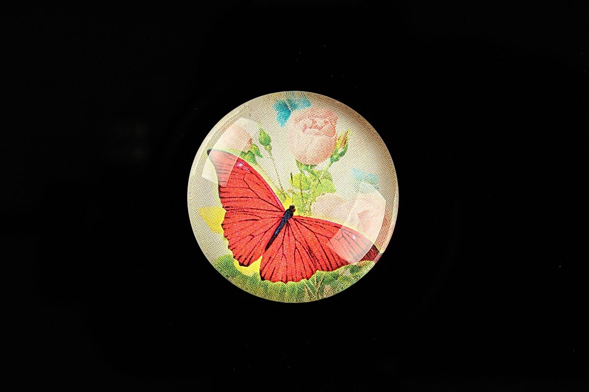 Cabochon sticla 25mm "Amazing Butterfly" cod 782