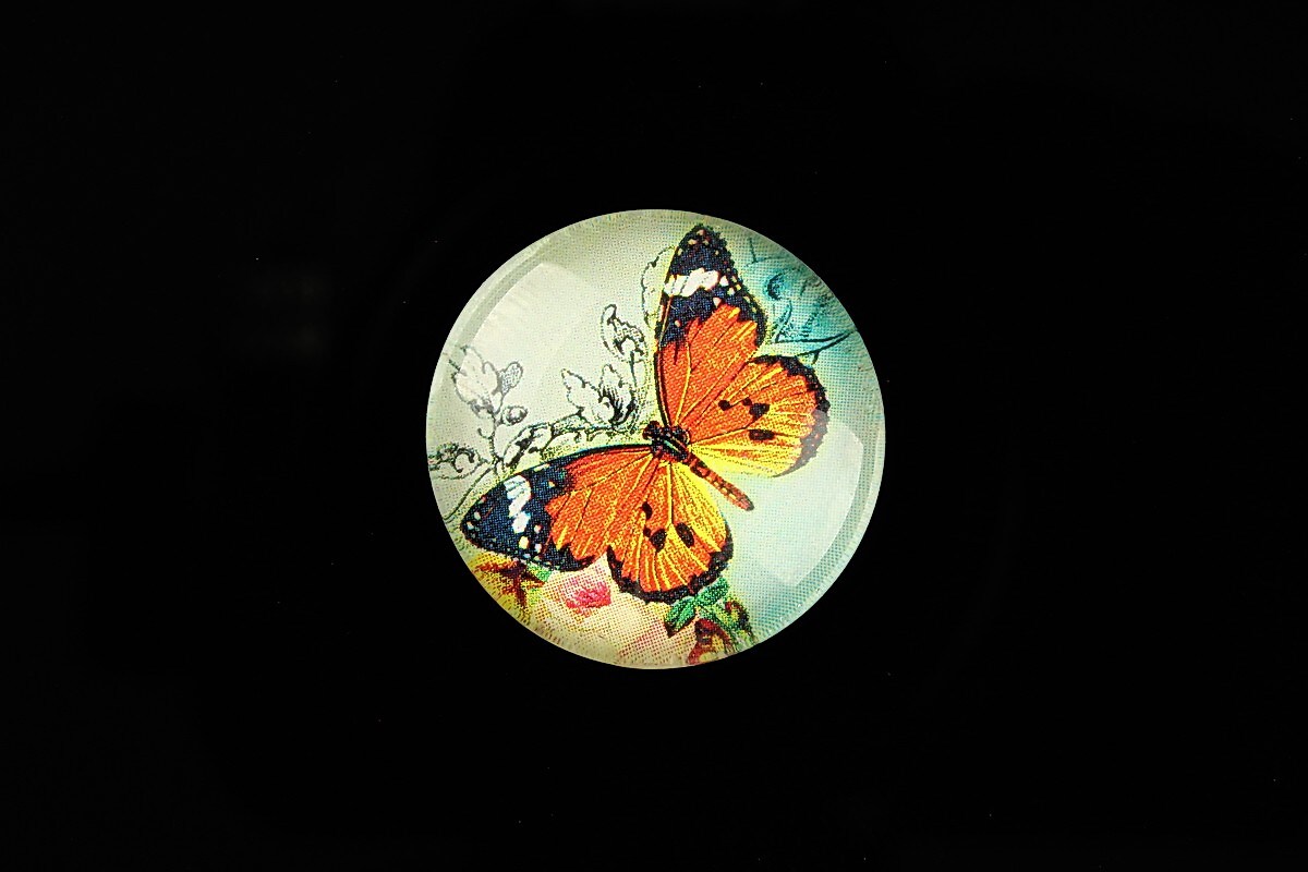 Cabochon sticla 25mm "Amazing Butterfly" cod 783