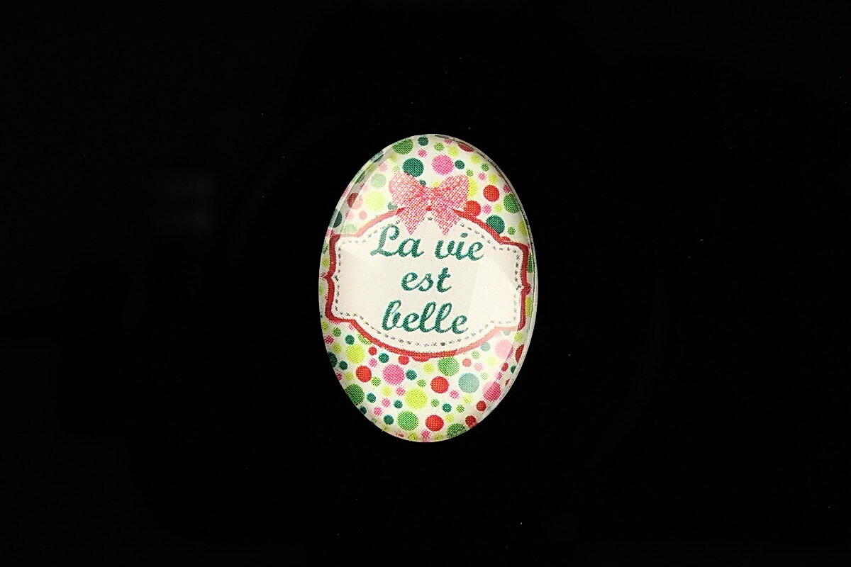 Cabochon sticla 25x18mm "La Vie et Belle" cod 818