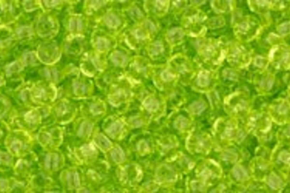 Margele Toho rotunde 11/0 - Transparent Lime Green