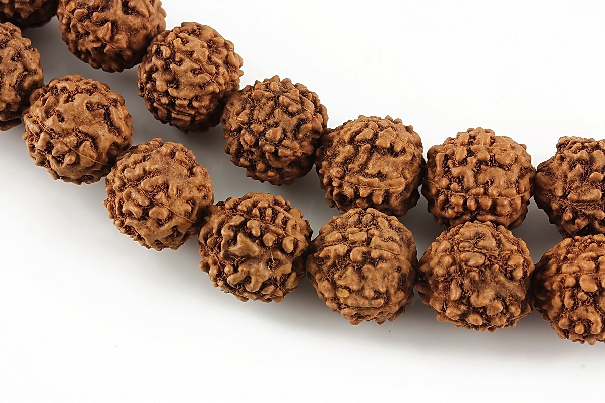 Margele Rudraksha 5 fete - aprox. 11-12mm