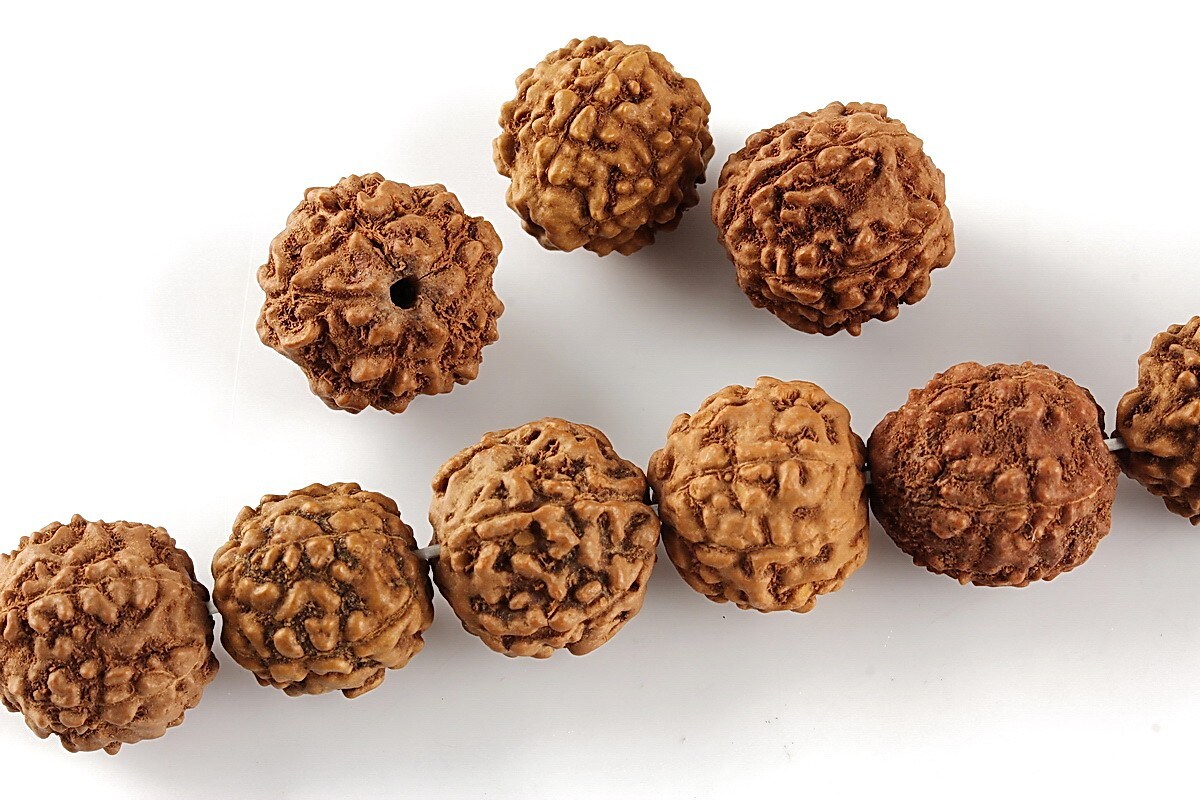 Margele Rudraksha 5 fete - aprox. 12-13mm