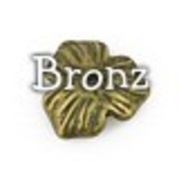 Bronz